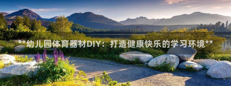 耀世集团小说：**幼儿园体育器材DIY：打造健康快乐