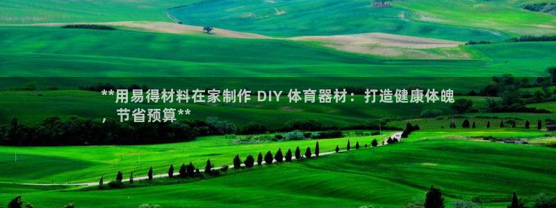 耀世挑战第3关怎么过：**用易得材料在家制作 DIY