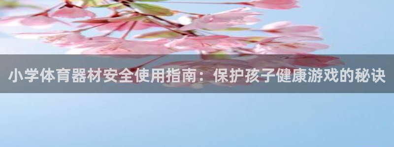 耀世微光下载：小学体育器材安全使用指南：保护孩子健康