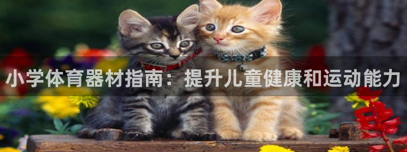 耀世天下的意思：小学体育器材指南：提升儿童健康和运动
