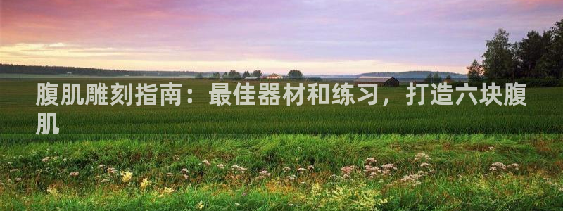 耀世启幕：腹肌雕刻指南：最佳器材和练习，打造六块腹
