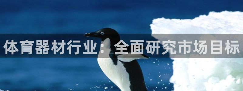 耀世娱乐挂机教程视频：体育器材行业：全面研究市场目标