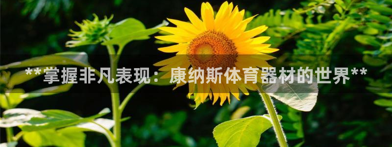 耀世娱乐联3.7.9.9.7 天乐：**掌握非凡表现