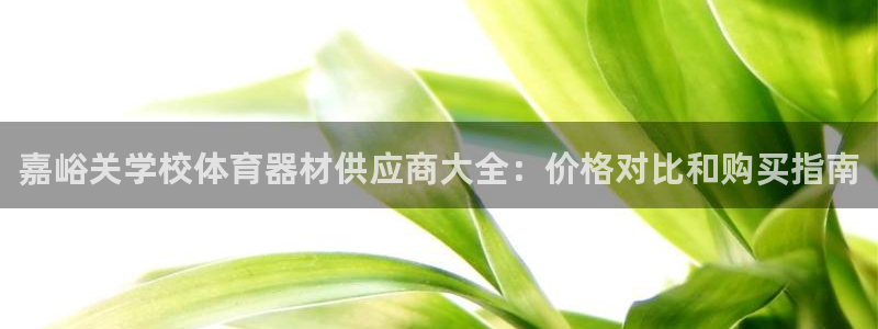 耀世集团商业联盟怎么样：嘉峪关学校体育器材供应商大全