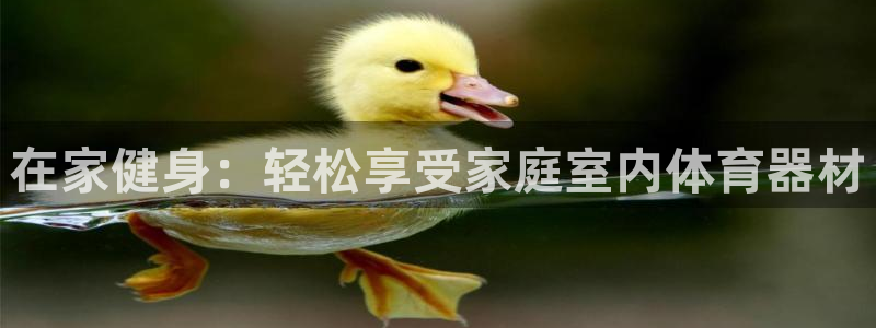 耀世燃气灶是哪个牌子：在家健身：轻松享受家庭室内体育