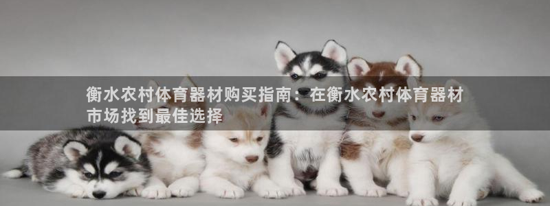 耀世娱乐注册官网网址：衡水农村体育器材购买指南：在衡