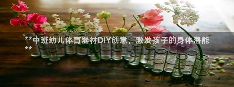 耀世盛典手游下载官网：**中班幼儿体育器材DIY创意