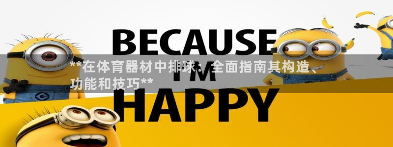 耀世娱乐骗局曝光：**在体育器材中排球：全面指南其构