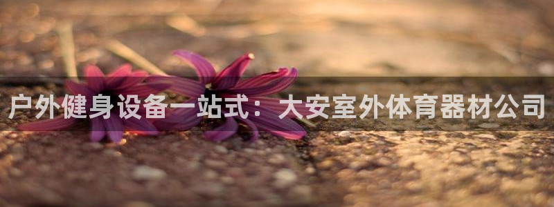 耀世是什么游戏里的人物：户外健身设备一站式：大安室外