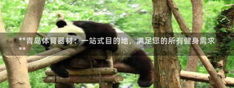 耀世开盘：**青岛体育器材：一站式目的地，满足您的所
