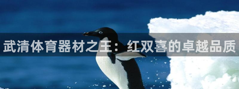 耀世平台主管代理是谁：武清体育器材之王：红双喜的卓越