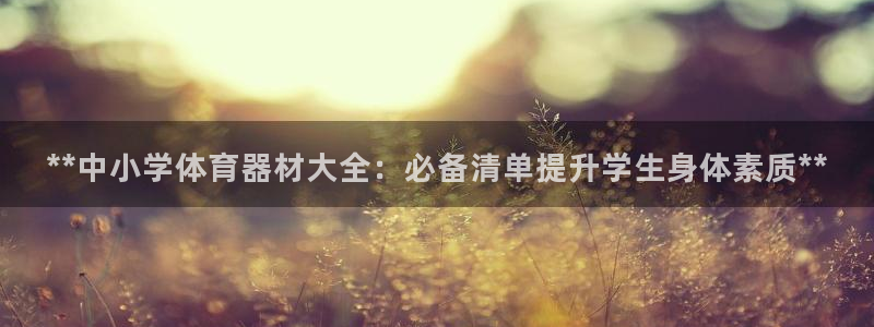 耀世平台式7O777：**中小学体育器材大全：必备清