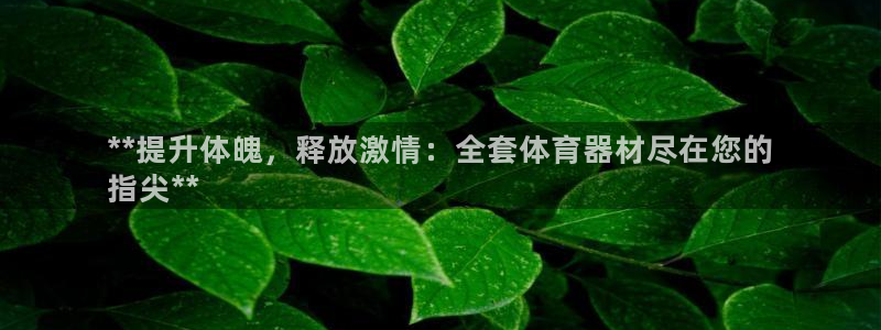 耀世娱乐注册官网：**提升体魄，释放激情：全套体育器
