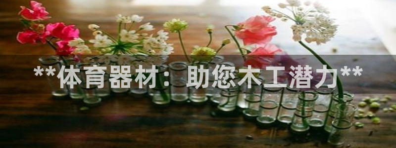 耀世平台注册网址查询：**体育器材：助您木工潜力**