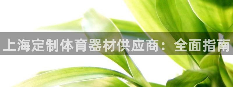 耀世平台最新注册地址：上海定制体育器材供应商：全面指