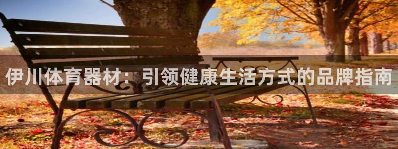 耀世娱乐返点：伊川体育器材：引领健康生活方式的品牌指