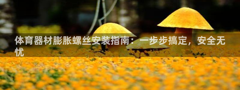 耀世平台下载：体育器材膨胀螺丝安装指南：一步步搞定，