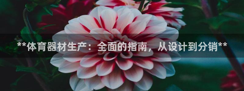 耀世娱乐如何登录账号：**体育器材生产：全面的指南，