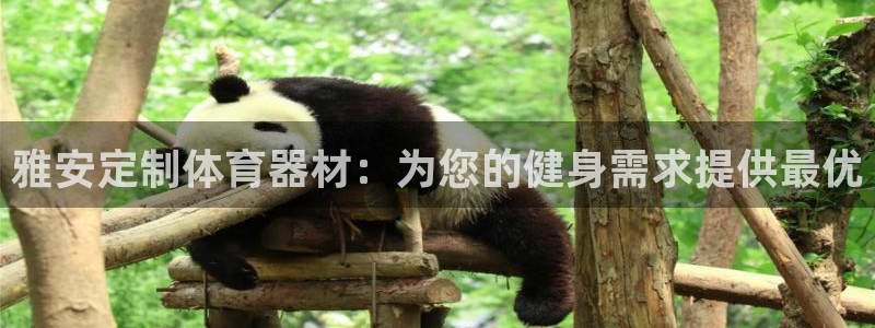耀世平台注册网址查询：雅安定制体育器材：为您的健身需