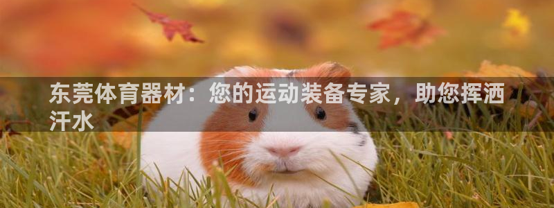 耀世微光简谱：东莞体育器材：您的运动装备专家，助您挥