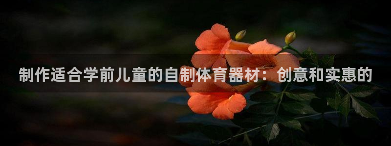 耀世娱乐脚本不死挂机能玩吗：制作适合学前儿童的自制体