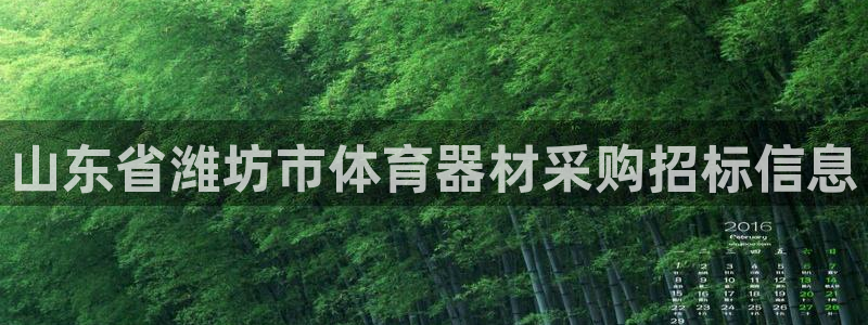 耀世娱乐登陆官网入口：山东省潍坊市体育器材采购招标信