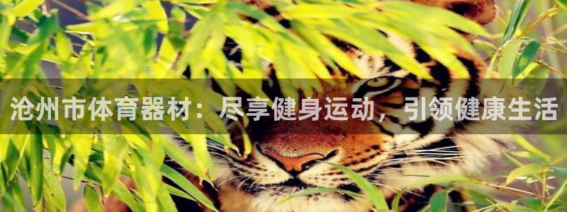 耀世而来：沧州市体育器材：尽享健身运动，引领健康生活