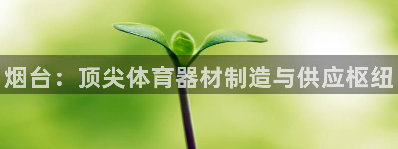 耀世集团：烟台：顶尖体育器材制造与供应枢纽