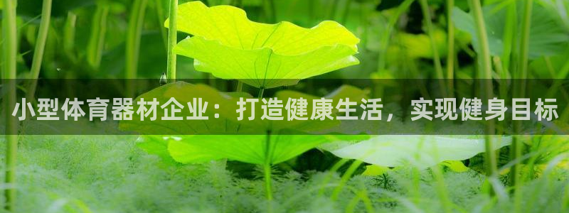耀世集团是什么电影里的人物：小型体育器材企业：打造健