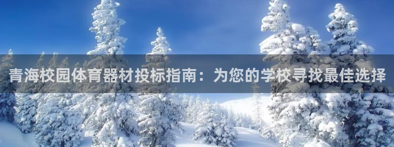 耀世平台注册登录不上怎么办：青海校园体育器材投标指南