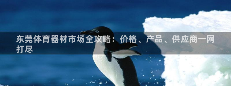 耀世的意思是什么：东莞体育器材市场全攻略：价格、产品