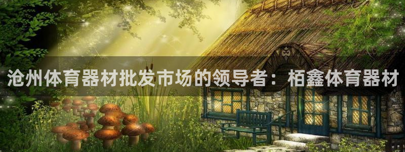 耀世啥意思：沧州体育器材批发市场的领导者：栢鑫体育器