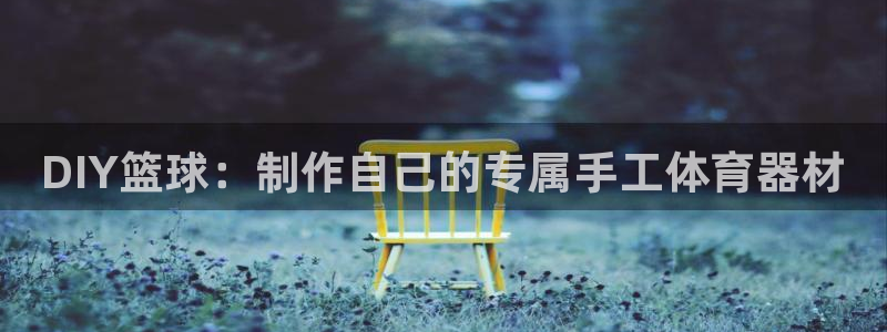 耀世集团董事长个人简历：DIY篮球：制作自己的专属手