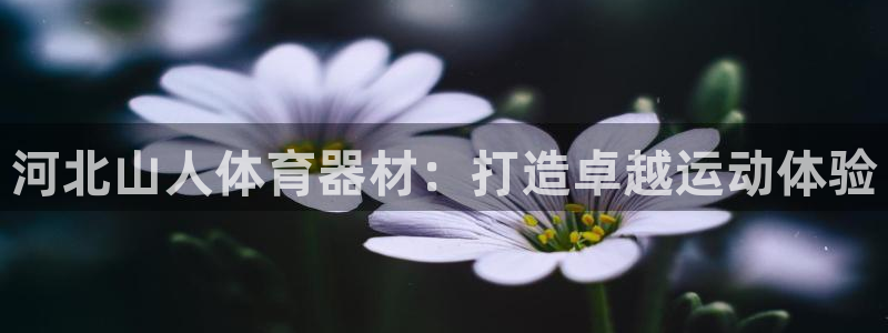 耀世娱乐平台官网登录不了怎么回事：河北山人体育器材：