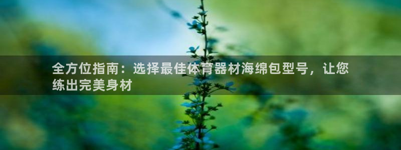 耀世娱乐目 5O6917 耀世：全方位指南：选择最佳