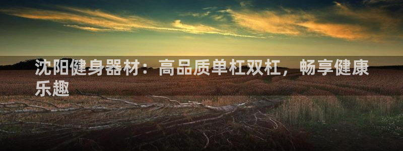 耀世集团董事长儿子：沈阳健身器材：高品质单杠双杠，畅