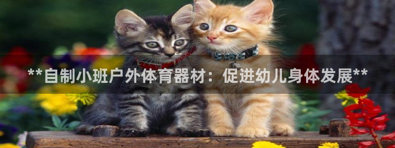 耀世平台：**自制小班户外体育器材：促进幼儿身体发展