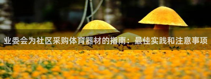 耀世是什么车：业委会为社区采购体育器材的指南：最佳实