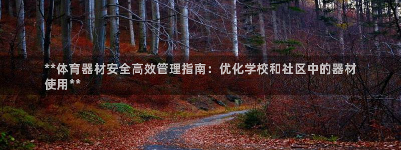 耀世传说：**体育器材安全高效管理指南：优化学校和社