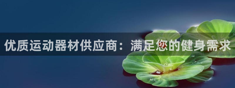 耀世娱乐登陆官网入口：优质运动器材供应商：满足您的健