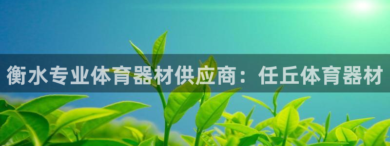 耀世娱乐老板叫什么：衡水专业体育器材供应商：任丘体育