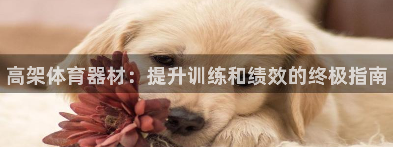 耀世平台注册网址是什么啊：高架体育器材：提升训练和绩