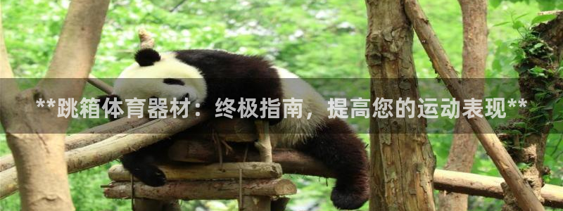 耀世平台开户要求：**跳箱体育器材：终极指南，提高您