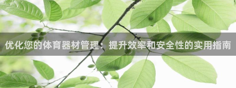 耀世微光歌词：优化您的体育器材管理：提升效率和安全性