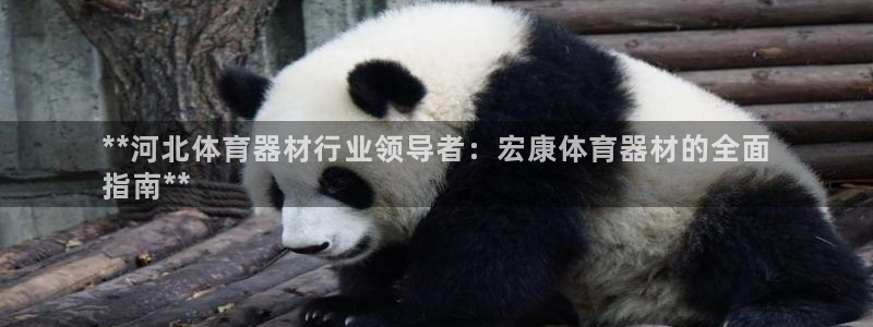 耀世国际集团是国企吗：**河北体育器材行业领导者：宏