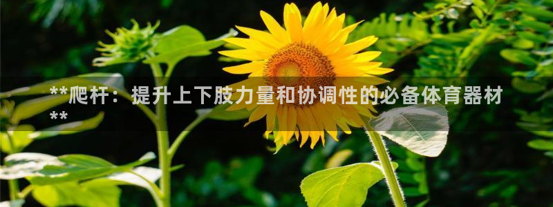 耀世娱乐登陆官网入口：**爬杆：提升上下肢力量和协调