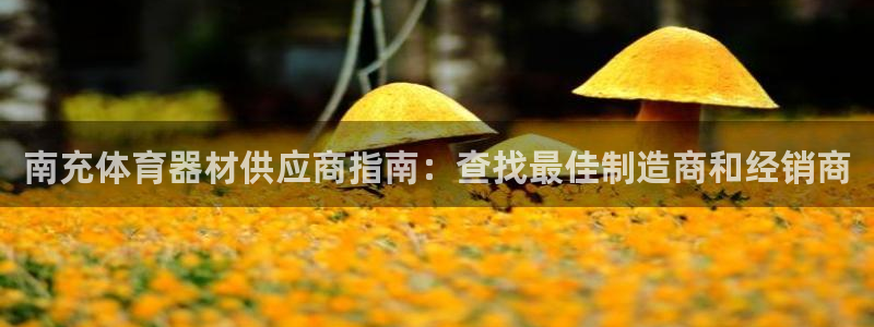 耀世集团董事长耀阳：南充体育器材供应商指南：查找最佳