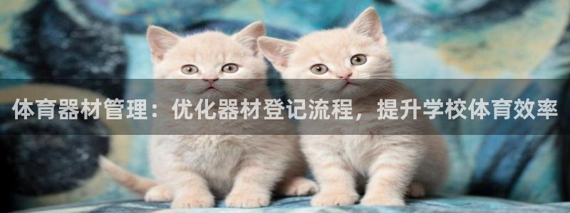 耀世集团王大聪简介：体育器材管理：优化器材登记流程，