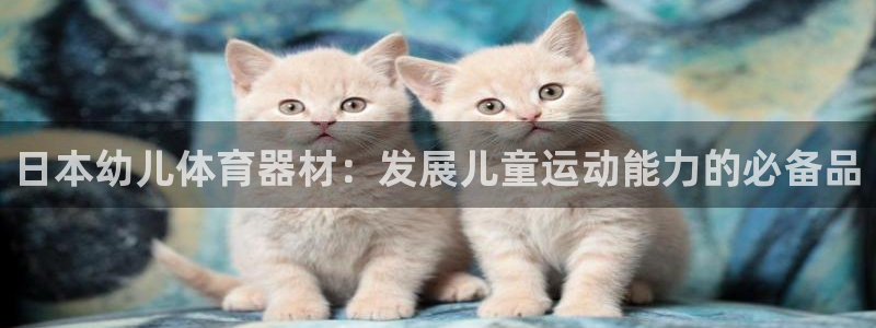 耀世娱乐黑钱吗：日本幼儿体育器材：发展儿童运动能力的