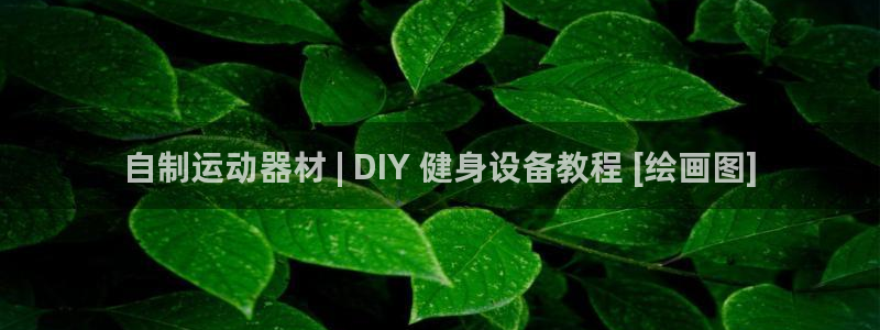 耀世娱乐官网首页登录：自制运动器材 | DIY 健身